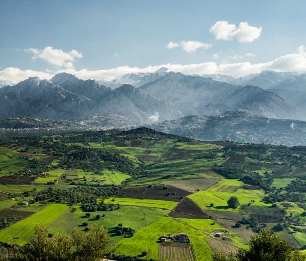 Chez Les Amazighs